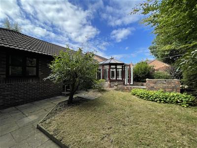 Picture 16